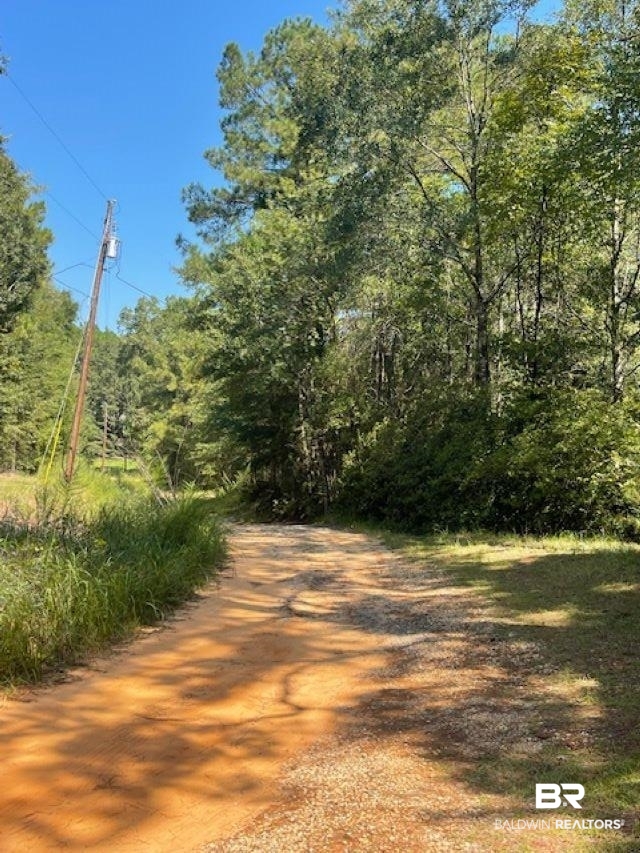 0 Mims Road Chunchula, AL 36521 - Photo 1 of 5