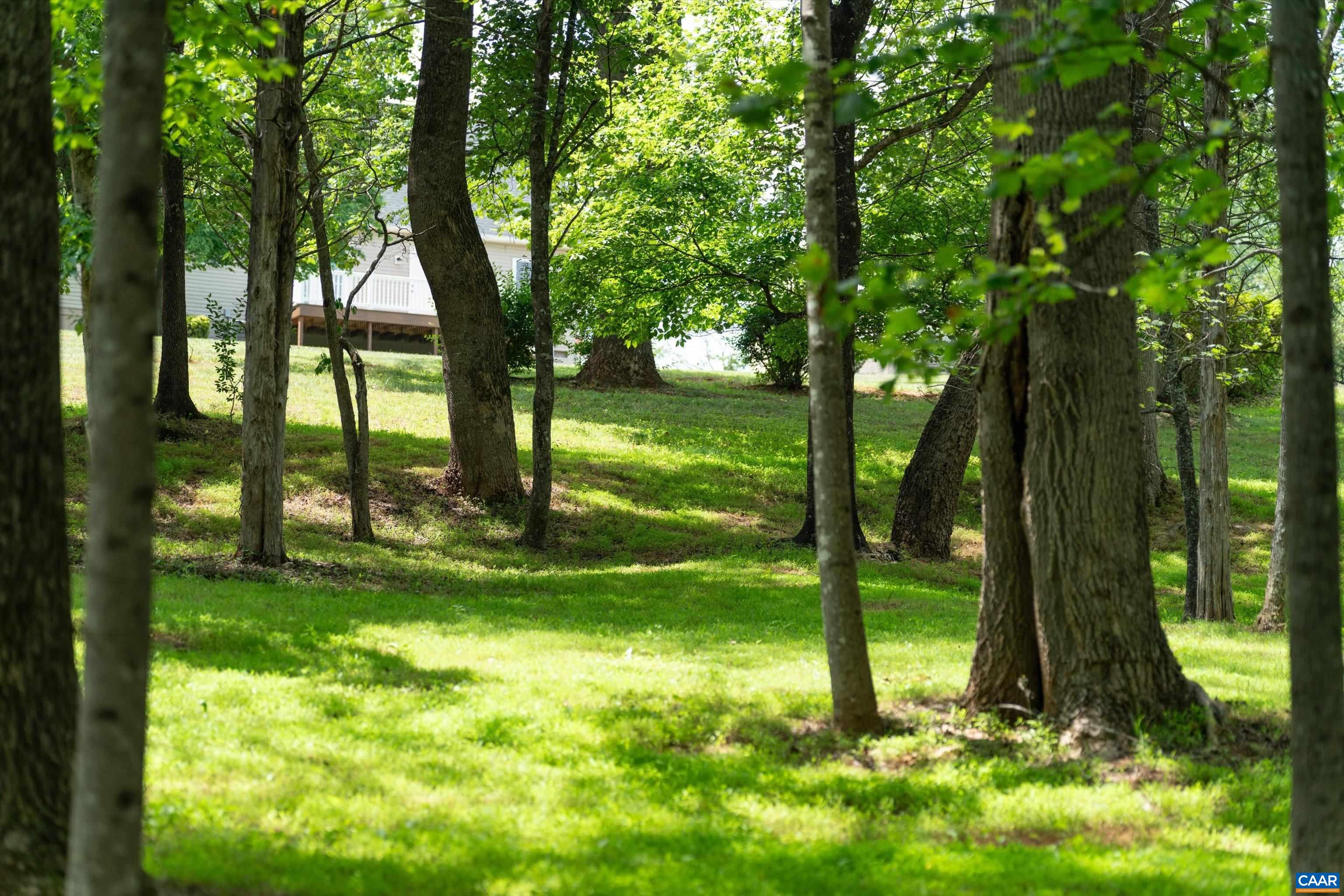 742 Valley View Road Ruckersville, VA 22968 - Photo 52 of 60