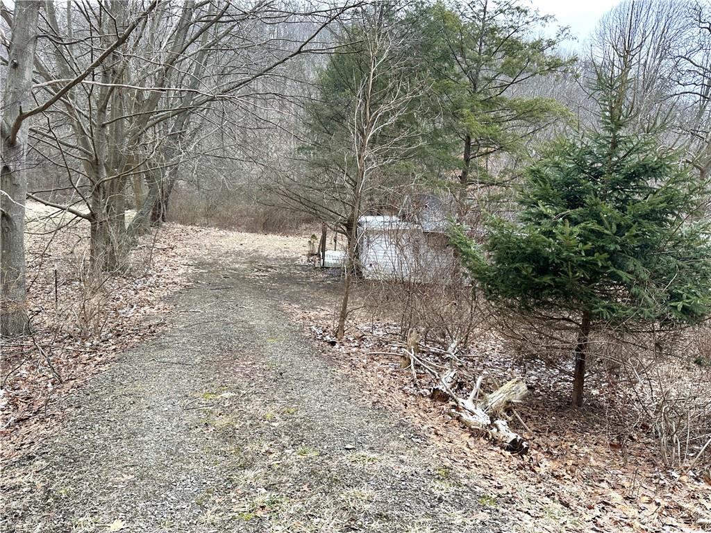 558 Two Mile Run Road Ligonier, PA 15658 - Photo 10 of 12