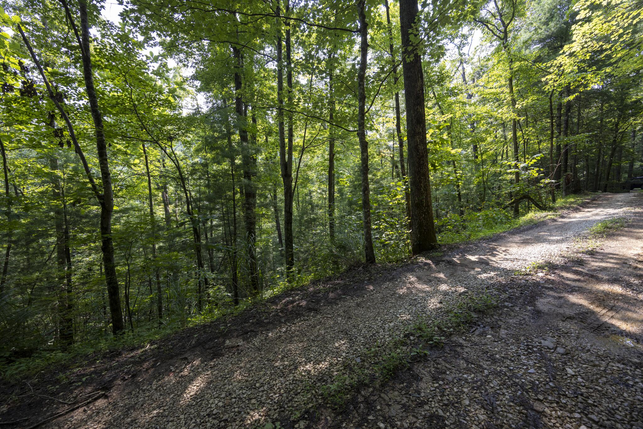 Lot 2 Cave Hollow Road Zoe, KY 41397 - Photo 24 of 29 Appalachian Media-24