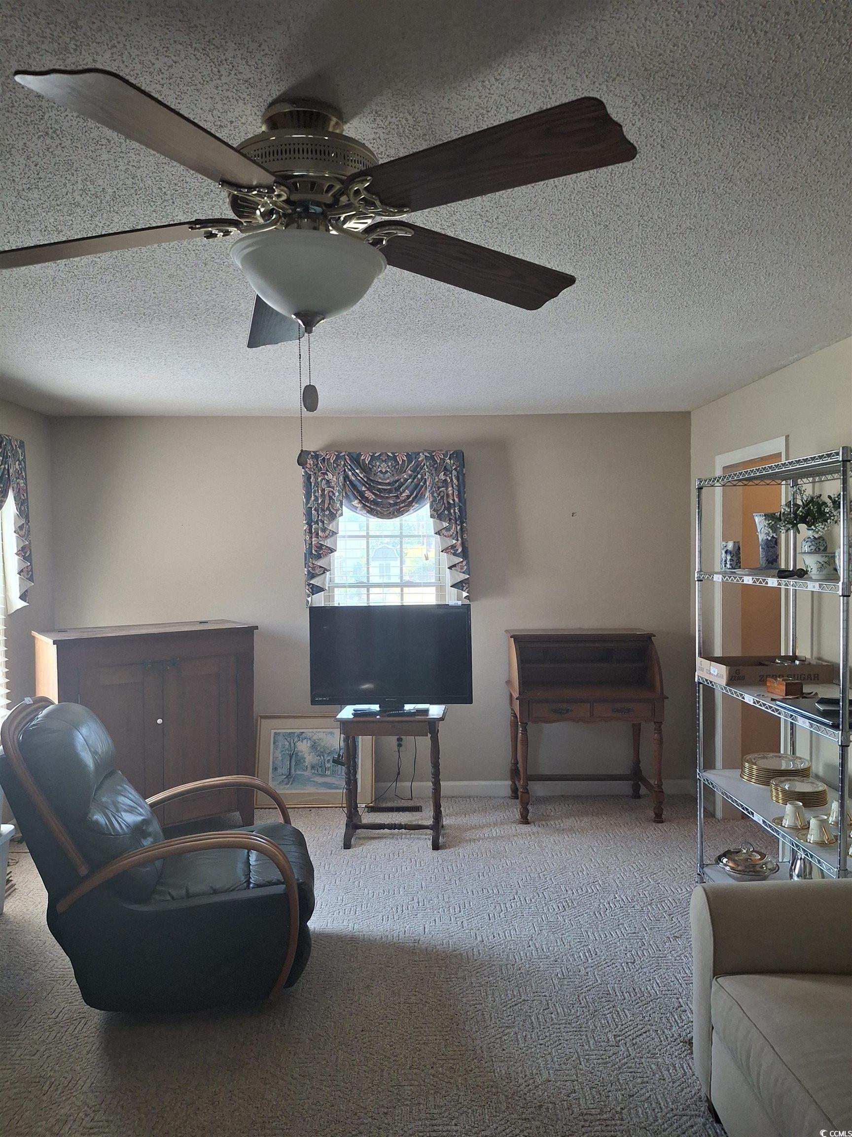 410 Devon Road Marion, SC 29571 - Photo 26 of 38 Carpeted living room with a textured ceiling and b