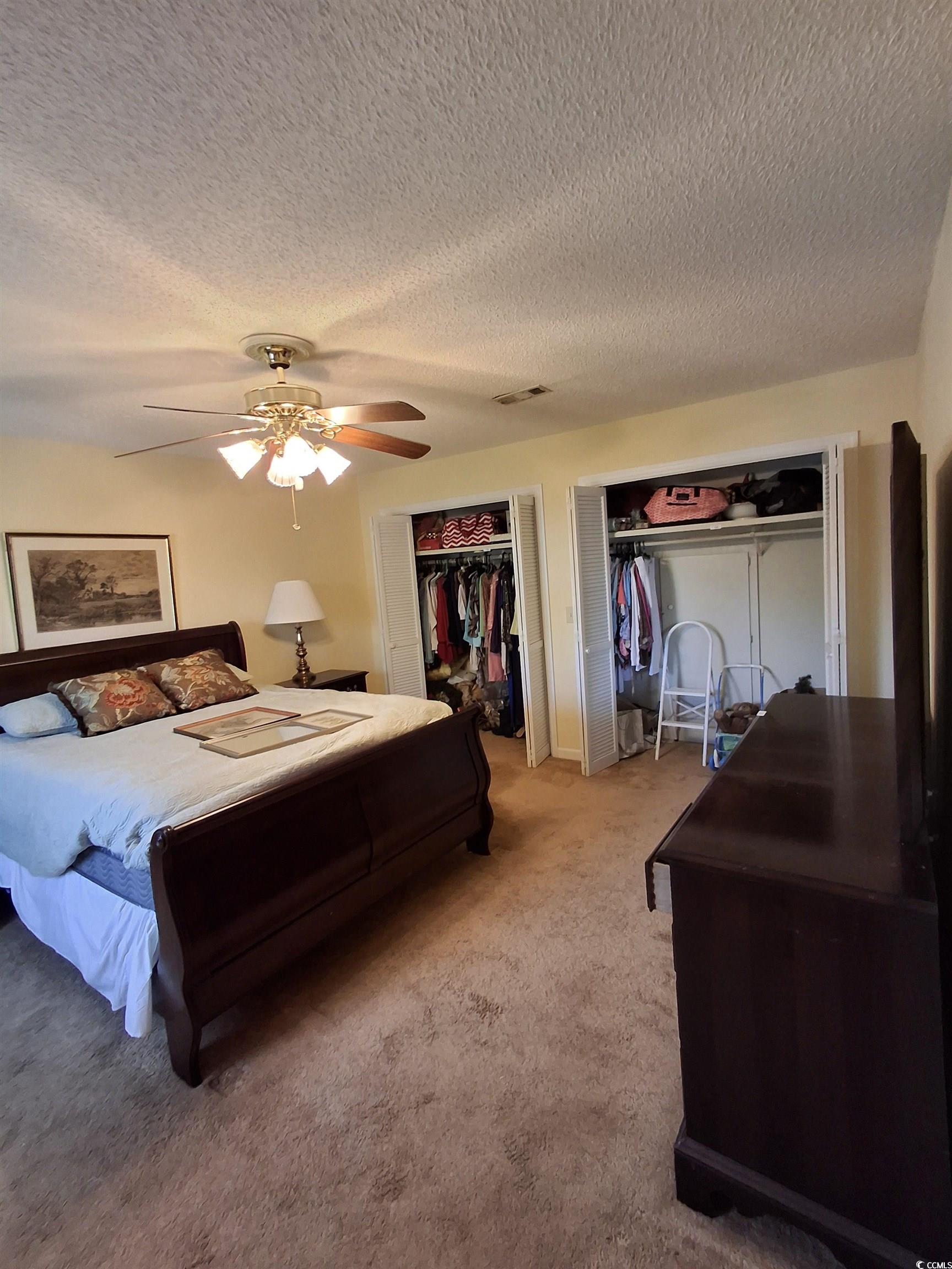 410 Devon Road Marion, SC 29571 - Photo 28 of 38 Carpeted bedroom featuring multiple closets, a tex