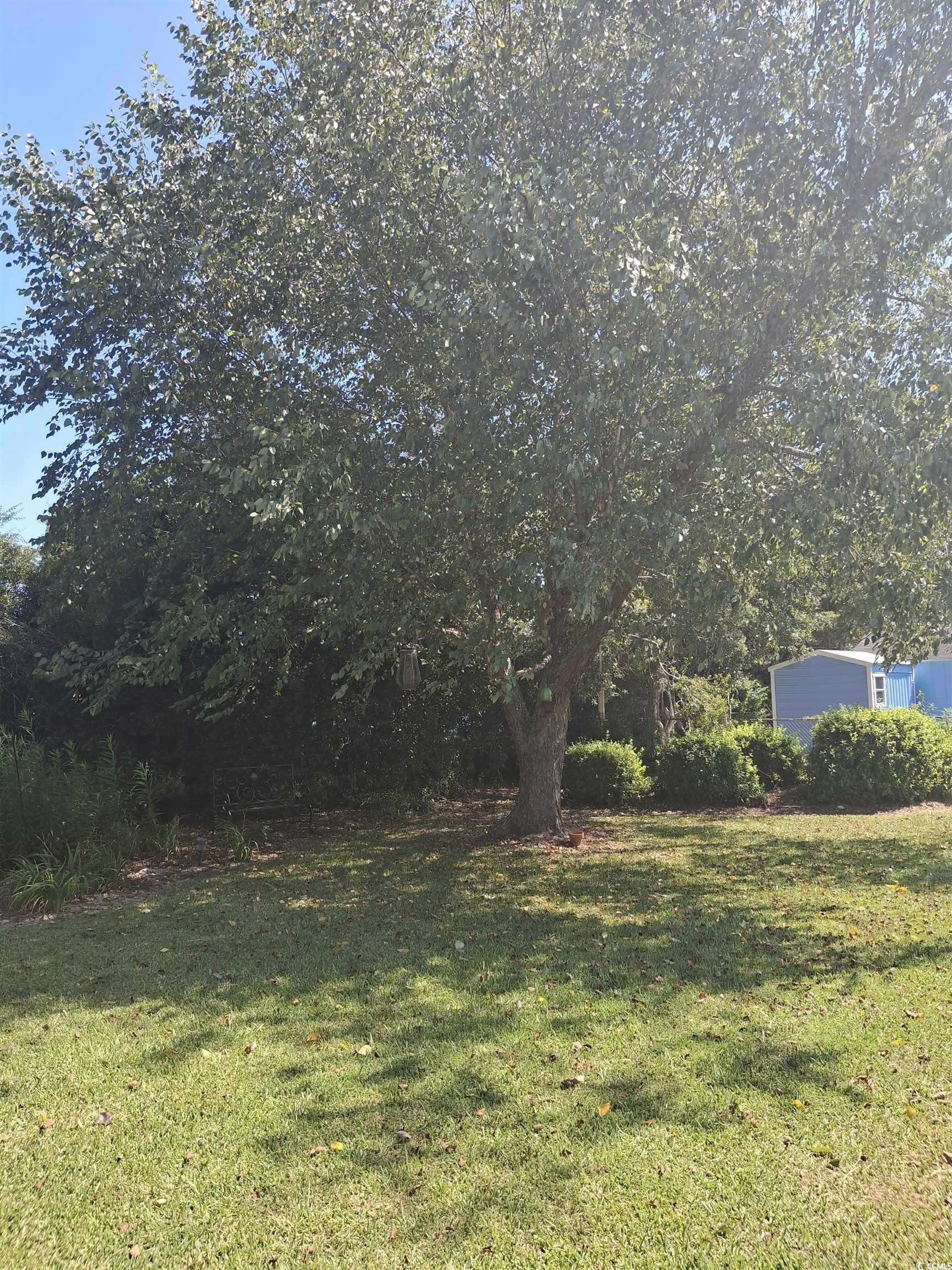 410 Devon Road Marion, SC 29571 - Photo 10 of 38 View of green lawn