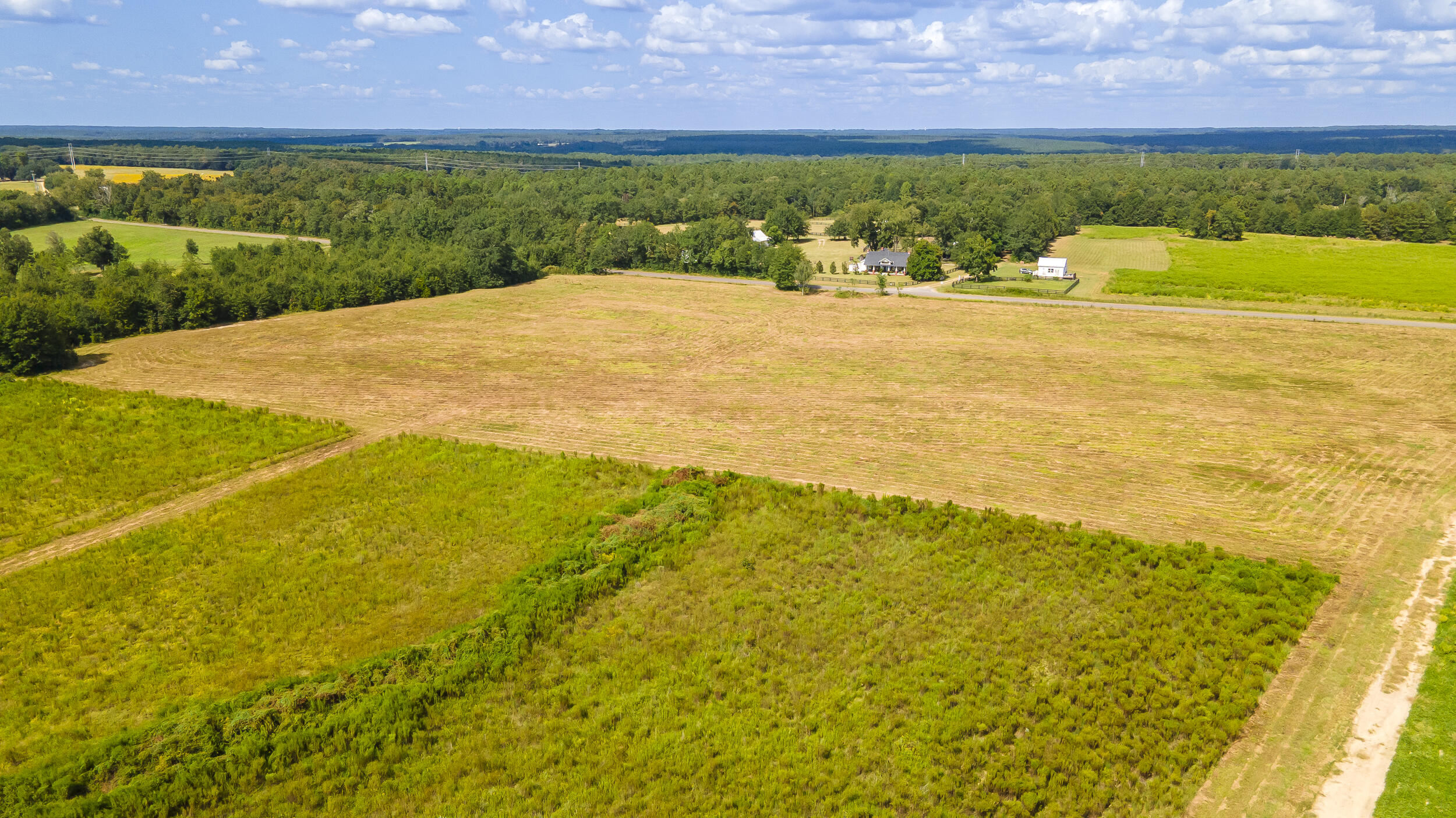 Lot 4 Union Academy Road Salley, SC 29137 - Photo 3 of 12