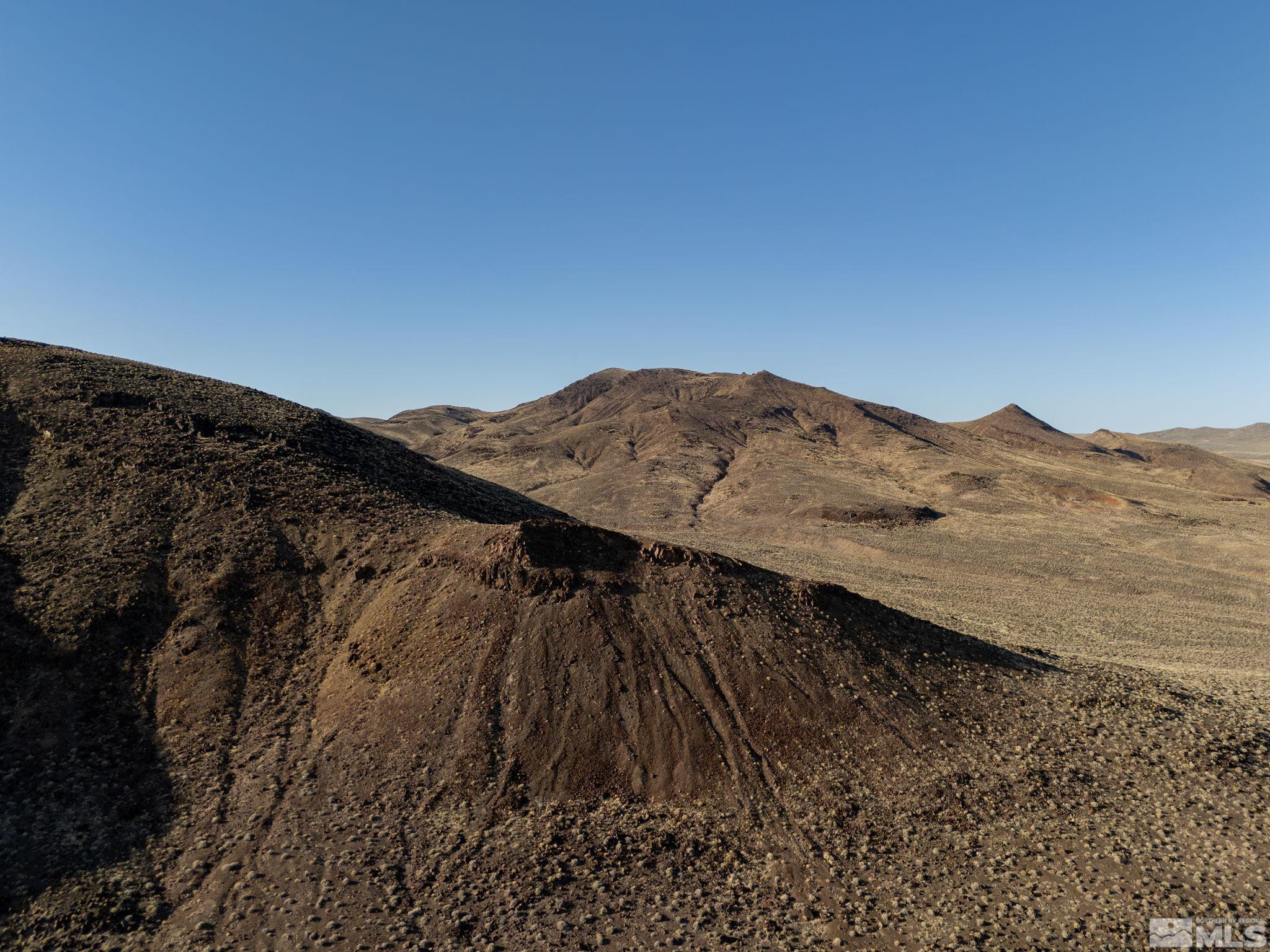 509113 Trinity Fallon, NV 89406 - Photo 13 of 24 a view of a with large tree