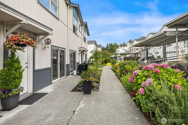 a view of a pathway with flower plants