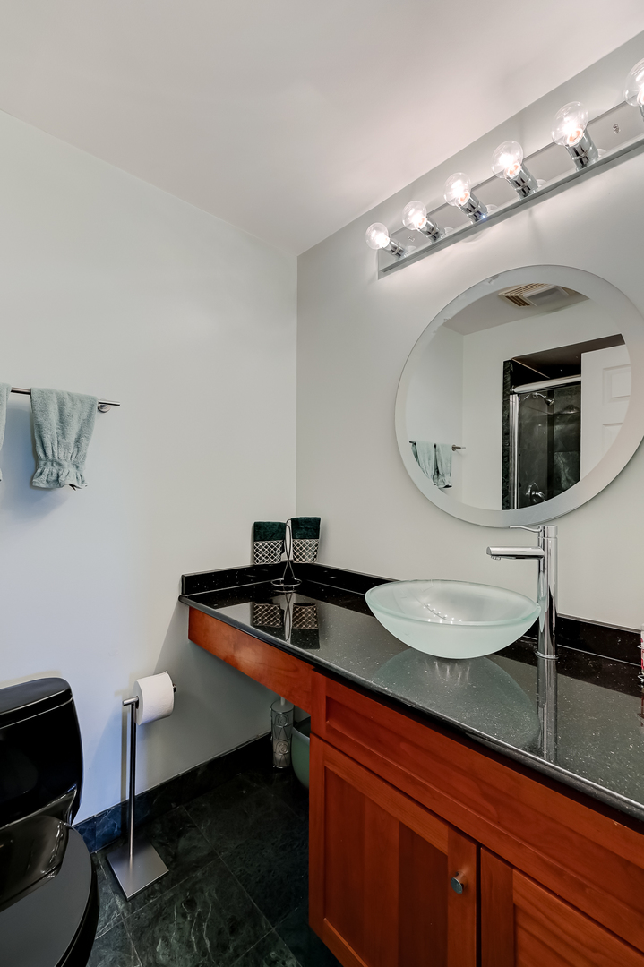 1140 Old Mill Road, Unit 405 Hinsdale, IL 60521 - Photo 16 of 24 Gallery Image 16