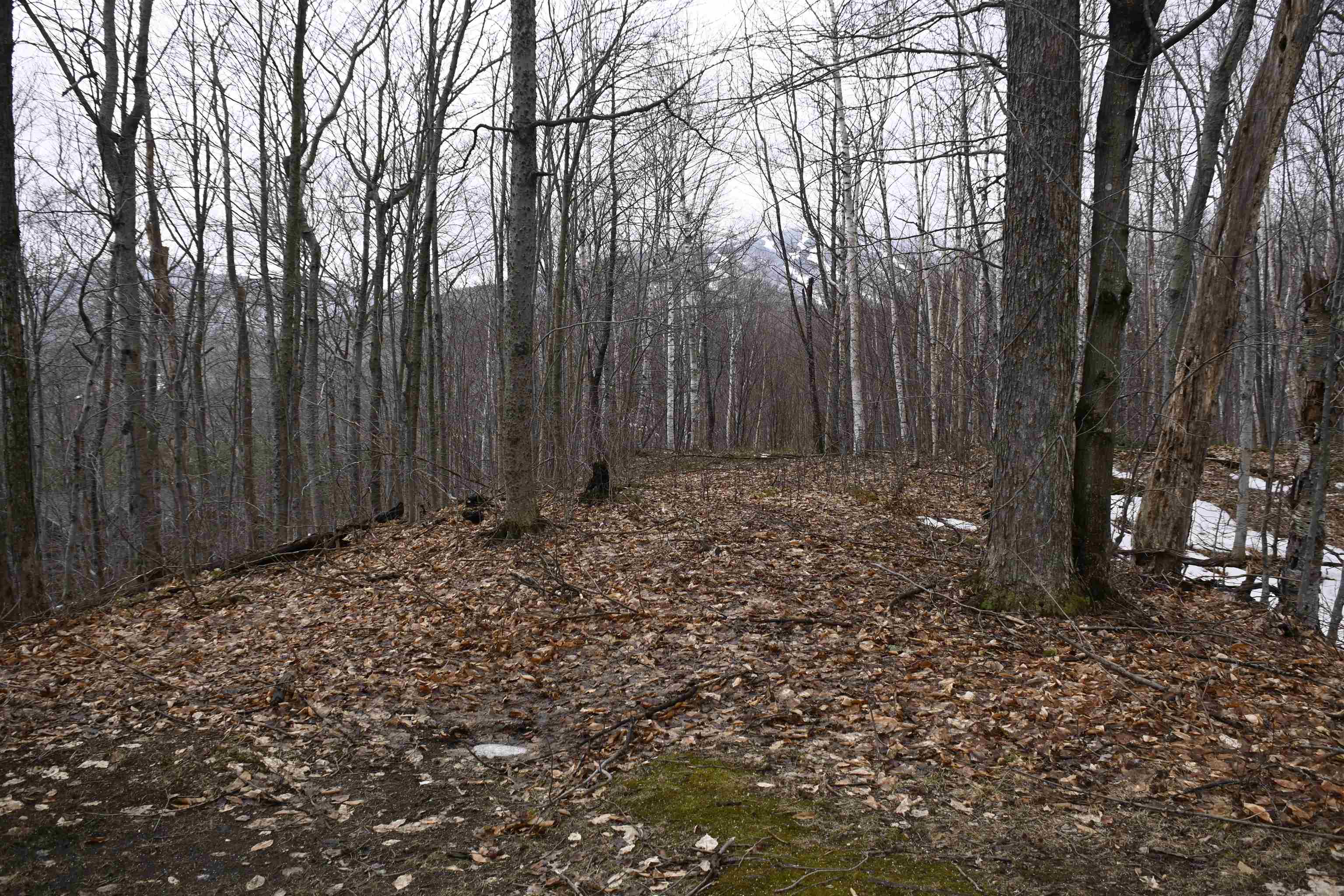 0 Robinson Springs Road, Unit 69 Stowe, VT 05672 - Photo 8 of 10 Gallery Image 8