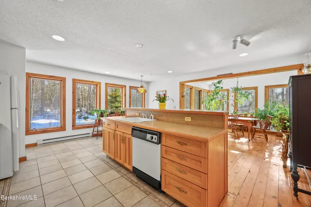 a dining room with furniture a rug a potted plant and a chandelier