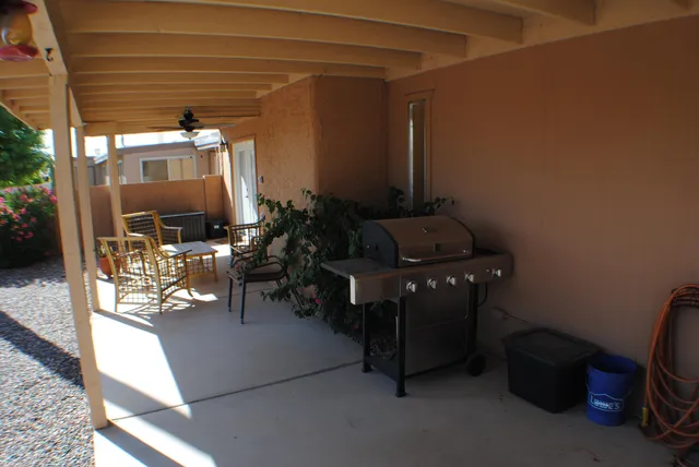 a room with furniture and a potted plant