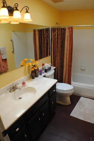 a bathroom with a sink vanity mirror and toilet