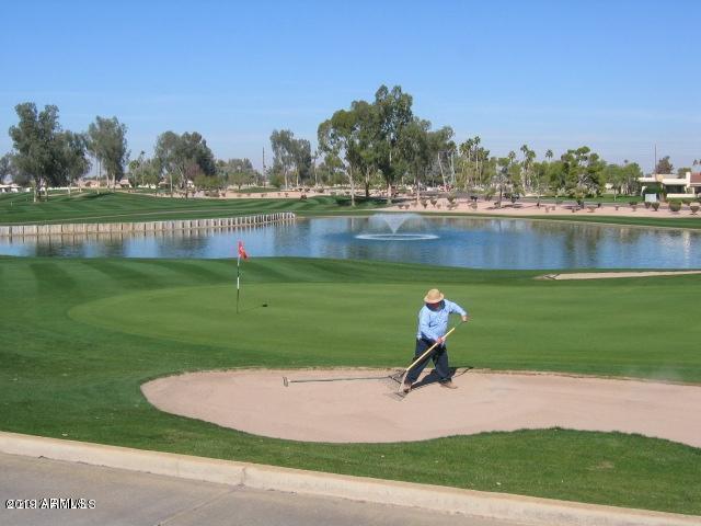 9635 East Palomino Place Sun Lakes, AZ 85248 - Photo 23 of 26 a lake view with a big yard and plants