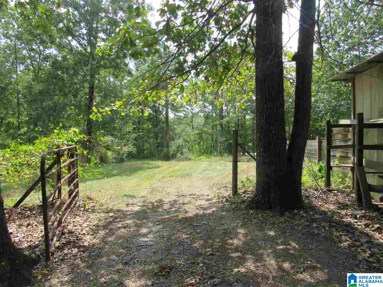 175 County Road 772 Montevallo, AL 35115 - Photo 21 of 50