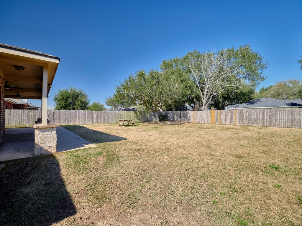 9315 Anna Street Needville, TX 77461 - Photo 45 of 46 a view of backyard with tree