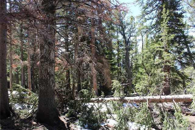 a view of an outdoor space with a tree