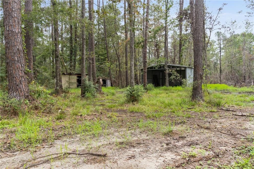 17233 East Bell Road Amite, LA 70422 - Photo 18 of 19