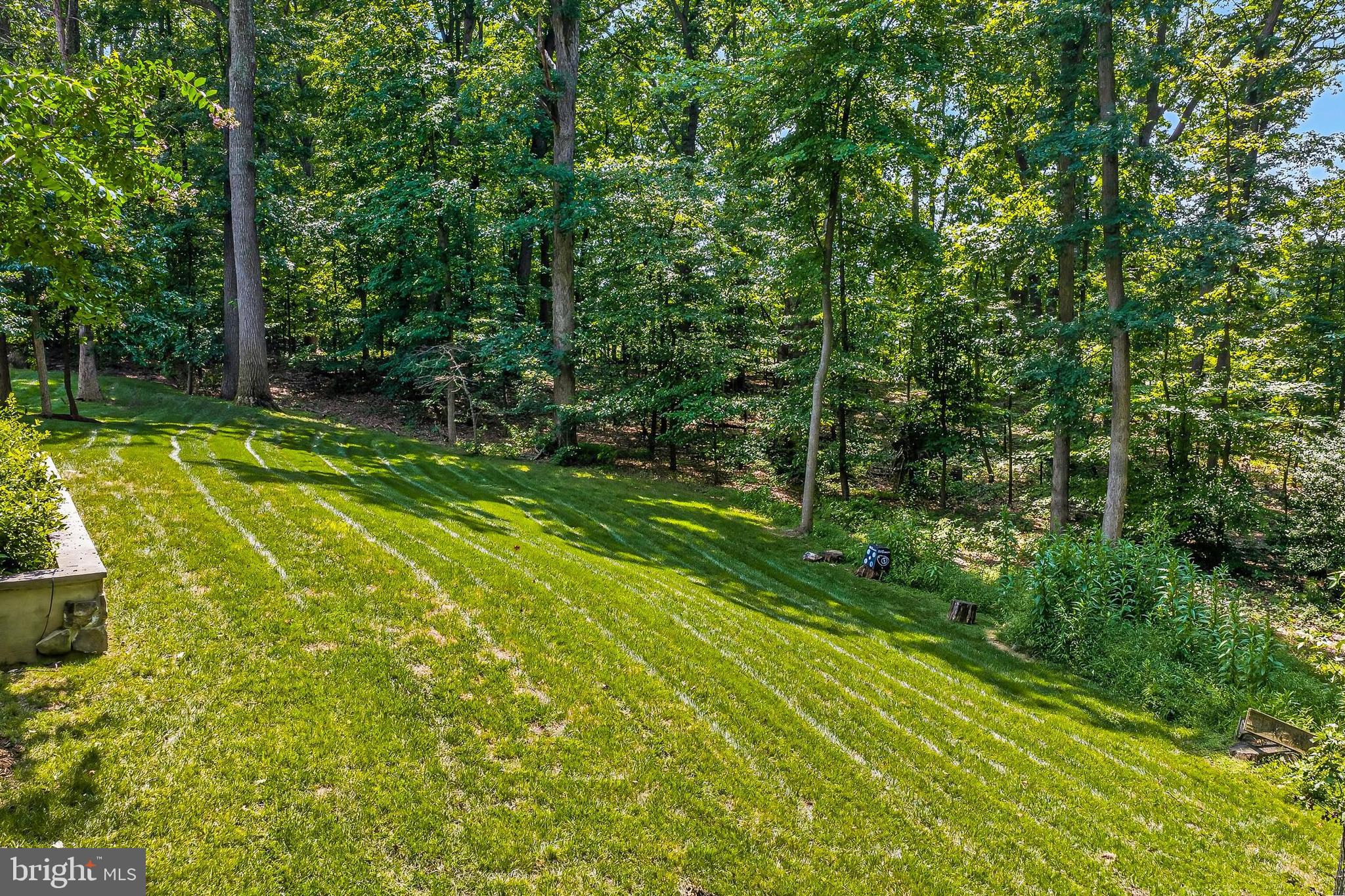 8836 Rommel Drive Lorton, VA 22079 - Photo 111 of 133 Plentiful room for pets with an electrical fence