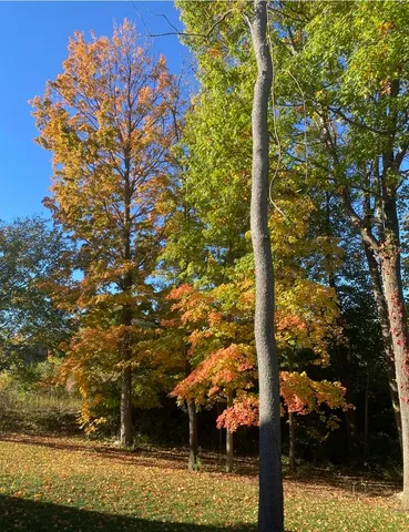 $599,990 | 505 Timber Oak, Yorkville, IL 60560