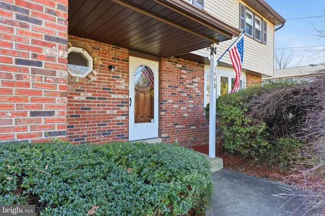 a view of a backyard with plants
