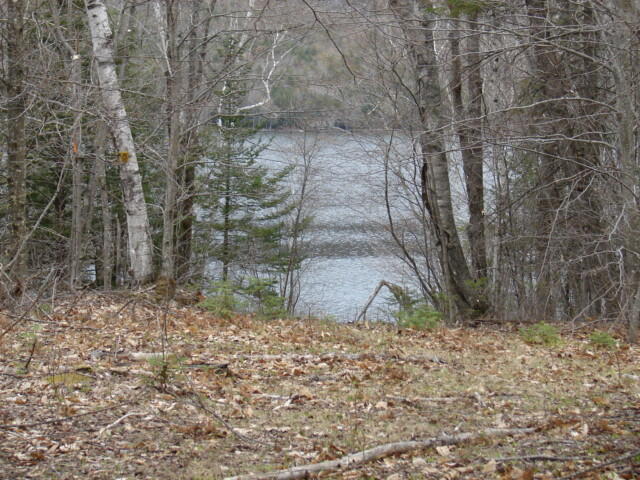 Lot 76.3 Row Off Long Falls Dam Road New Portland, ME 04961 - Photo 10 of 16 DSC05582