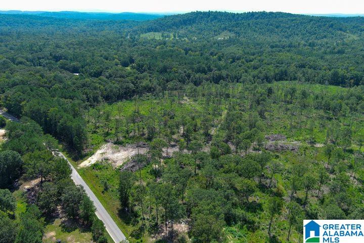 209 Harts Ferry Road, Unit 3 Ohatchee, AL 36271 - Photo 8 of 24