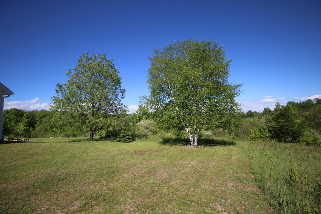 5229 Dunham Road Wolverine, MI 49799 - Photo 12 of 49 Gallery Image 12