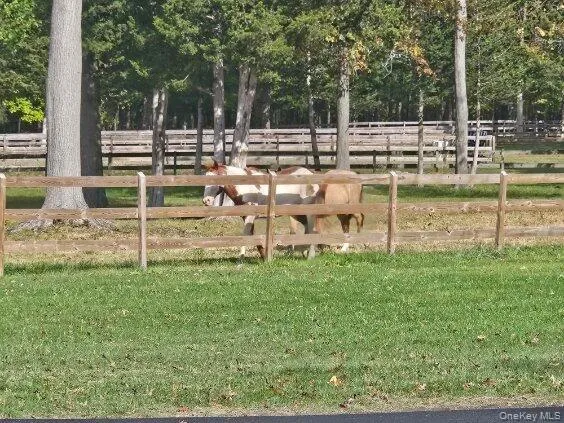 $679,999 | 34 Bigert Drive, New Hampton, NY 10958