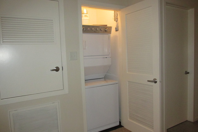 2000 South Michigan Avenue, Unit 105 Chicago, IL 60616 - Photo 14 of 19