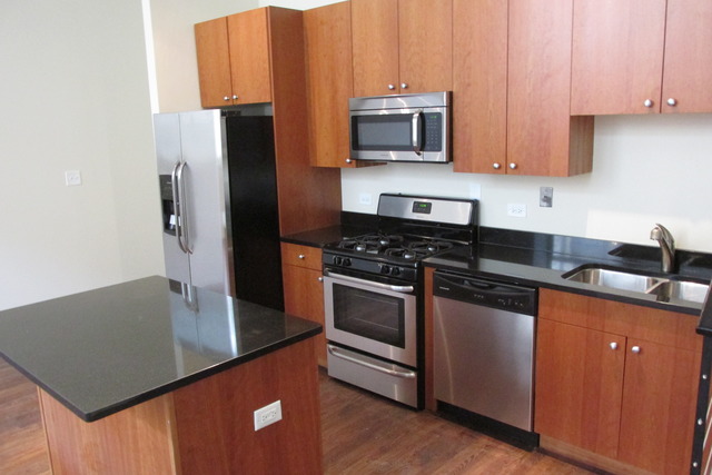 2000 South Michigan Avenue, Unit 105 Chicago, IL 60616 - Photo 5 of 19