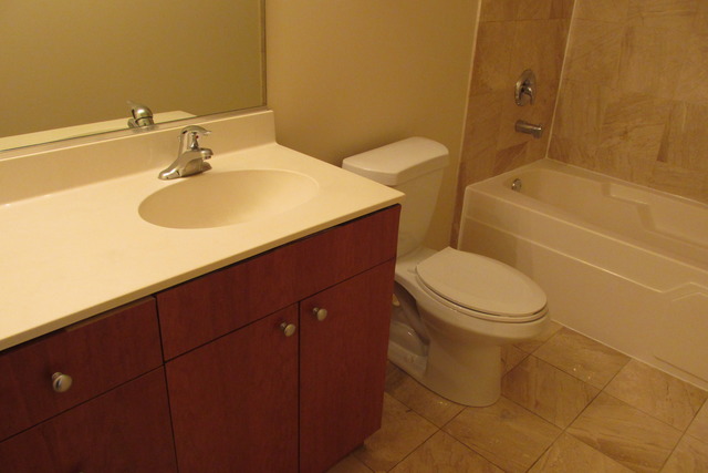 2000 South Michigan Avenue, Unit 105 Chicago, IL 60616 - Photo 6 of 19