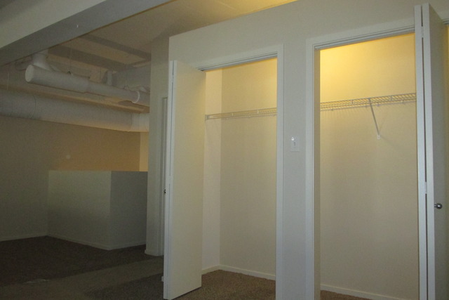 2000 South Michigan Avenue, Unit 105 Chicago, IL 60616 - Photo 8 of 19