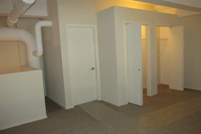 2000 South Michigan Avenue, Unit 105 Chicago, IL 60616 - Photo 9 of 19
