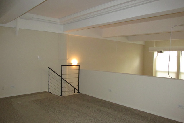 2000 South Michigan Avenue, Unit 105 Chicago, IL 60616 - Photo 10 of 19