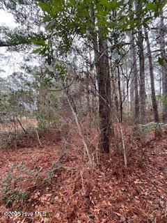 0 Dogwood Landing Road Merritt, NC 28556 - Photo 6 of 13 IMG_7704