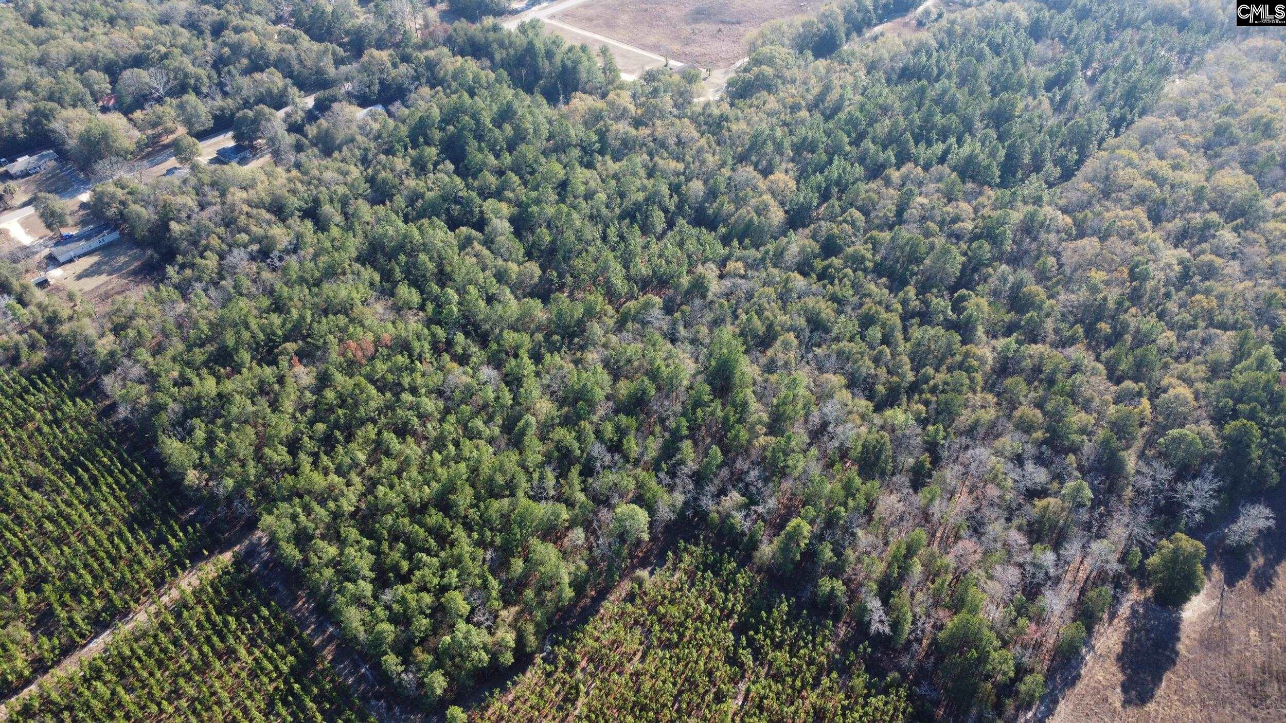 Tbd Jeffcoat Road Wagener, SC 29164 - Photo 4 of 5