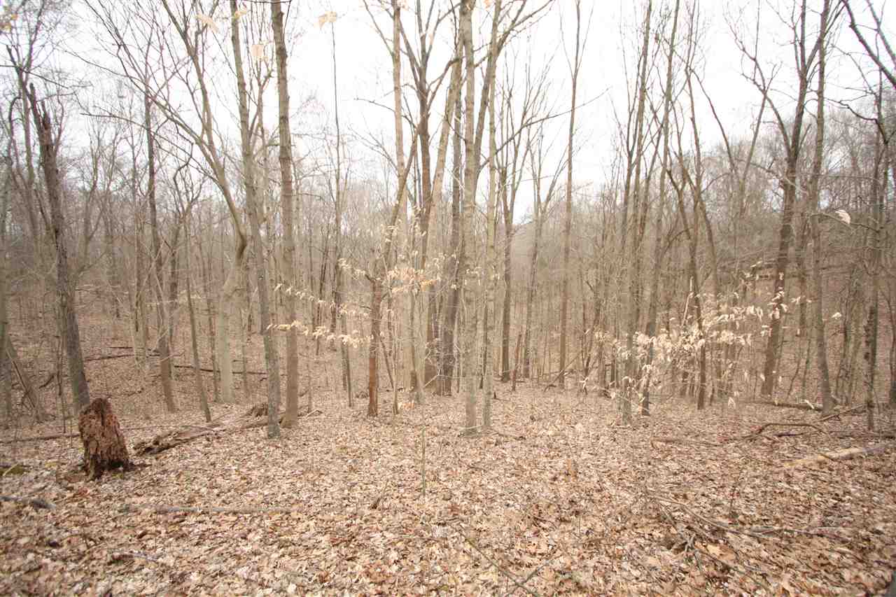 183 Hidden Cove Road Lucas, KY 42156 - Photo 7 of 28 Gallery Image 7