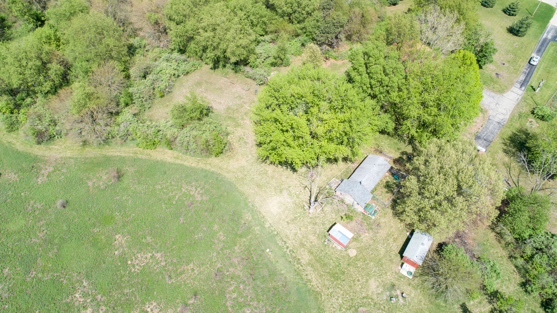 134 Summer Road Dixon, IL 61021 - Photo 25 of 34 a close up of a flower in a garden