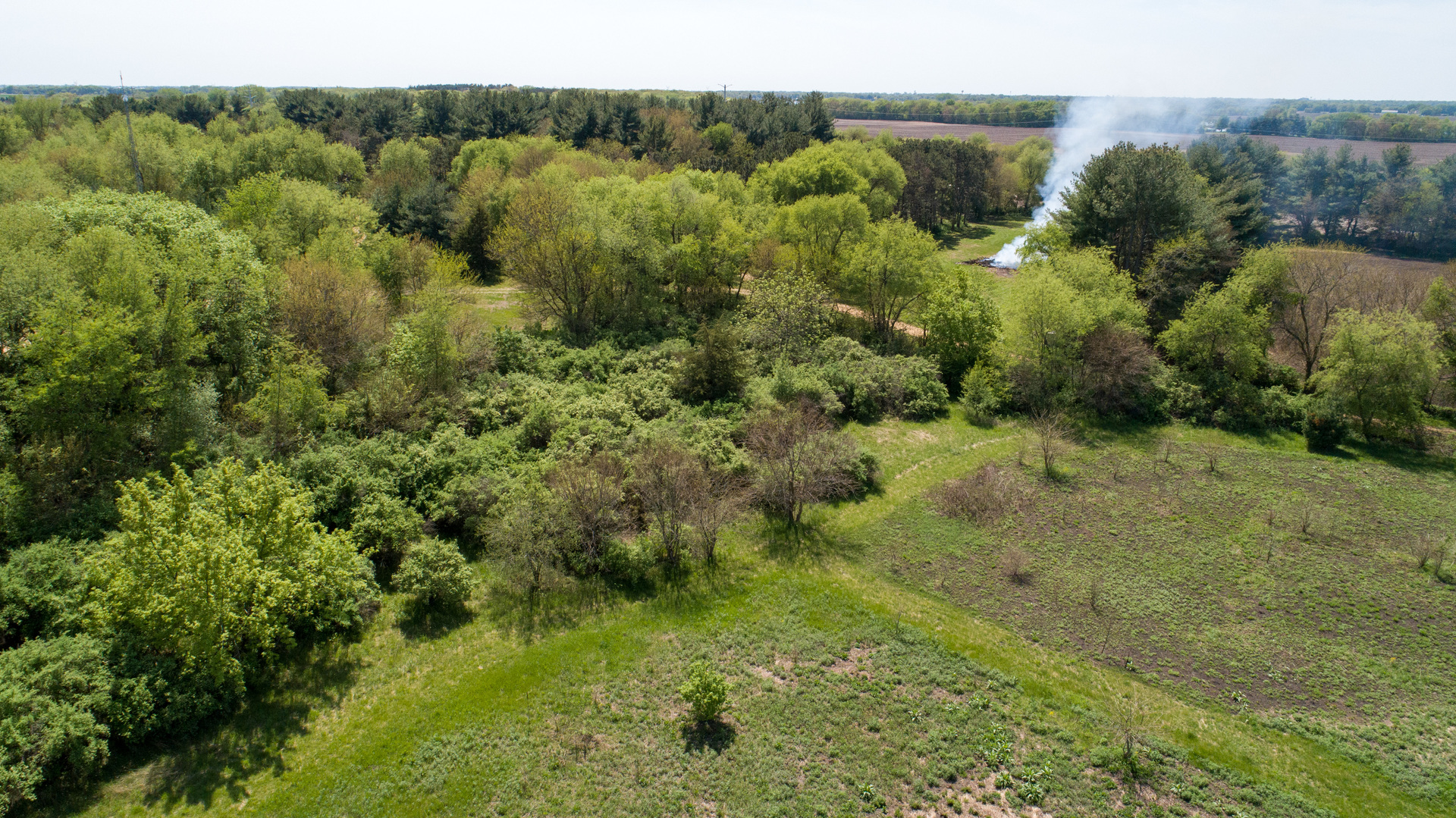 134 Summer Road Dixon, IL 61021 - Photo 29 of 34 a view of a lush green forest with lots of trees