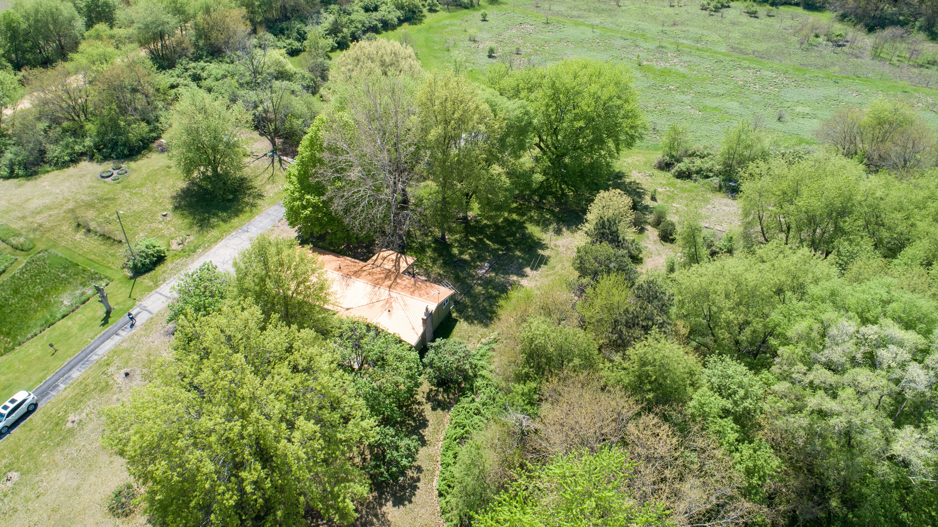 134 Summer Road Dixon, IL 61021 - Photo 33 of 34 a view of a lush green forest with lots of trees
