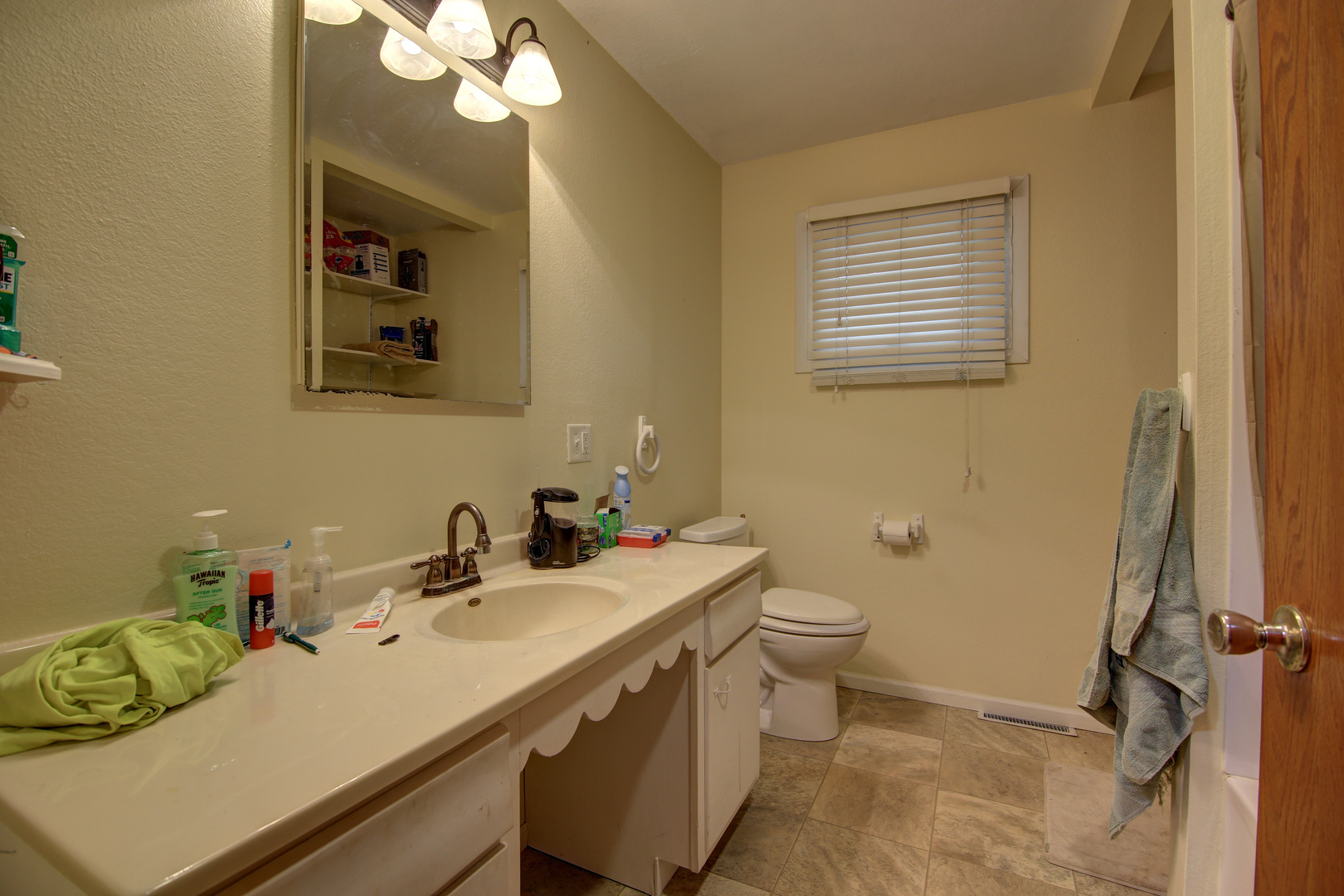 134 Summer Road Dixon, IL 61021 - Photo 9 of 34 a bathroom with a sink a toilet and mirror