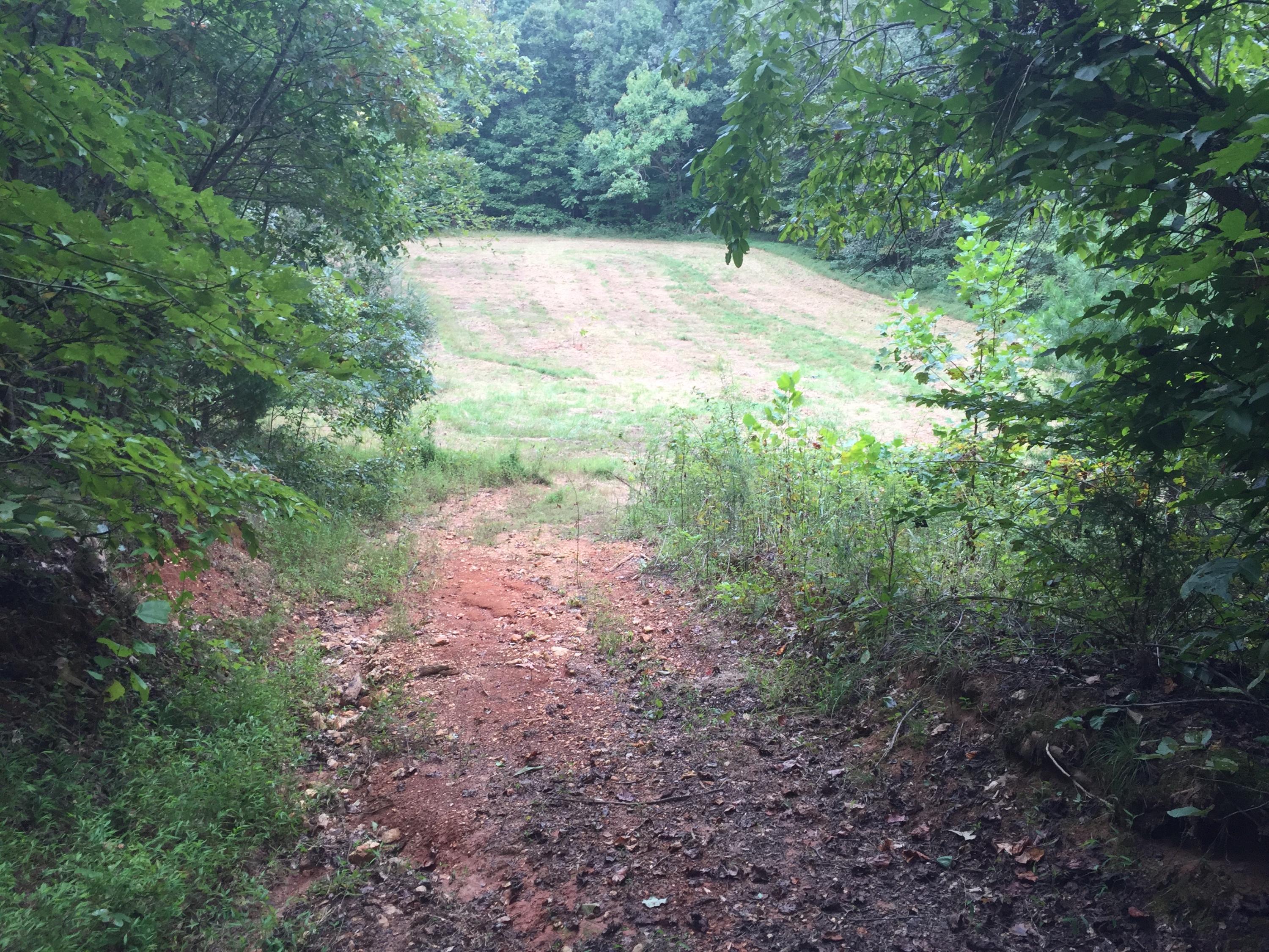 191 Pattie Gap Road Philadelphia, TN 37846 - Photo 32 of 35 IMG_9408