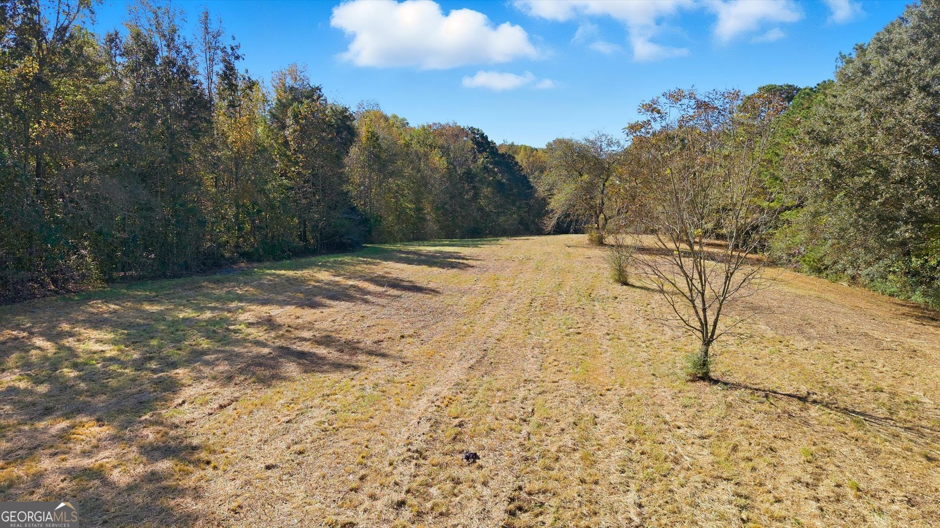 0 North 100th Highway, Unit TRACT 2 Waco, GA 30182 - Photo 1 of 1 a view of a yard with trees