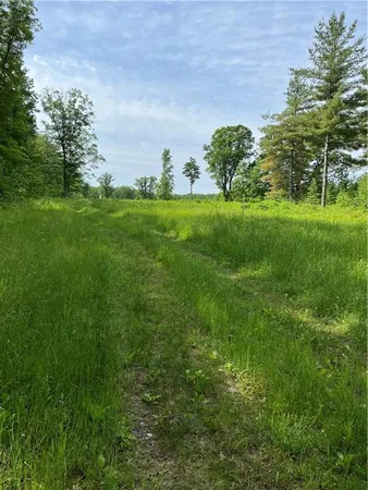 $220,000 | 81-acres Pinnow Road, Bruce, WI 54819