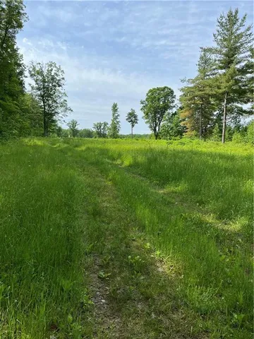 $243,000 | 81-acres Pinnow Road, Bruce, WI 54819
