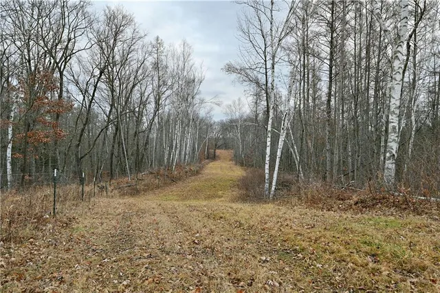 $243,000 | 81-acres Pinnow Road, Bruce, WI 54819