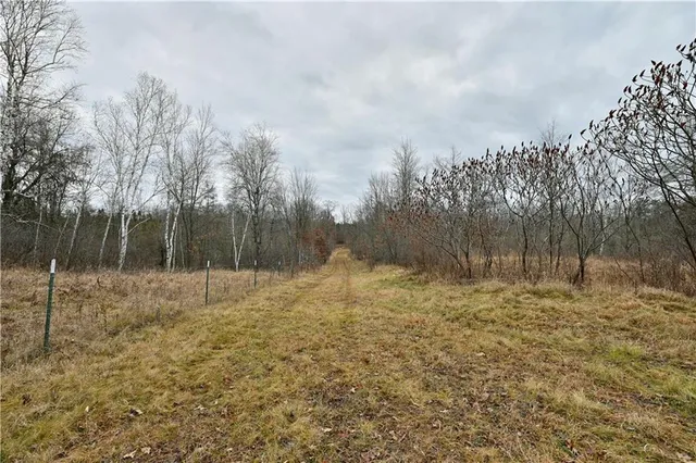 $243,000 | 81-acres Pinnow Road, Bruce, WI 54819