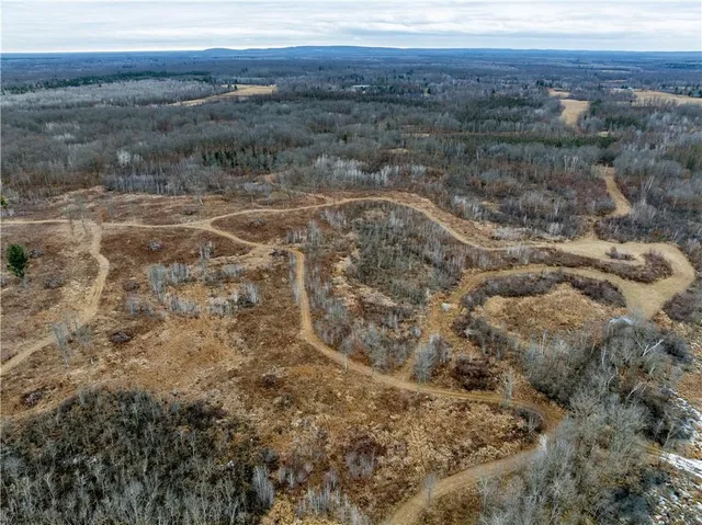 $243,000 | 81-acres Pinnow Road, Bruce, WI 54819