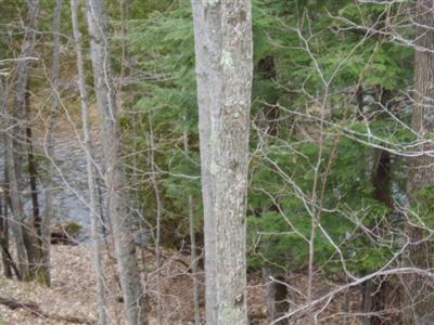 13227 Kerry Road Brethren, MI 49619 - Photo 2 of 20 Additional Photo