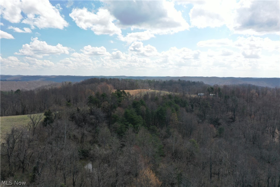 1 Sarvis Fork Road Sandyville, WV 25275 - Photo 28 of 44 Gallery Image 28