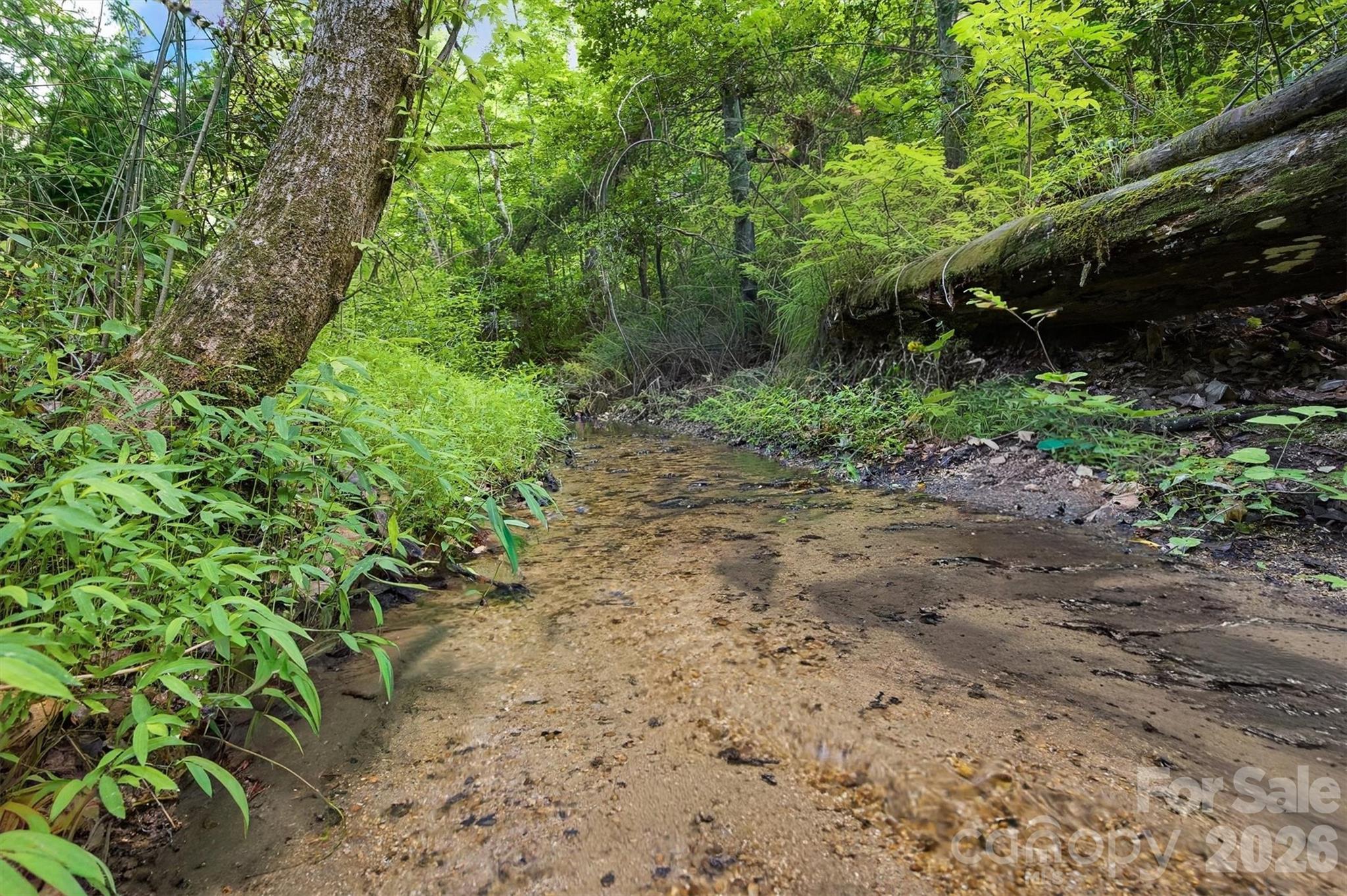 360 Johnson Caldwell Road Boomer, NC 28606 - Photo 12 of 48